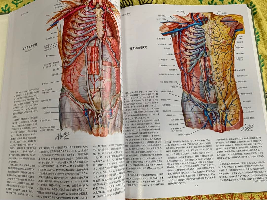 ⭐︎医学生理図譜集 消化器編 (I) & (II)⭐︎