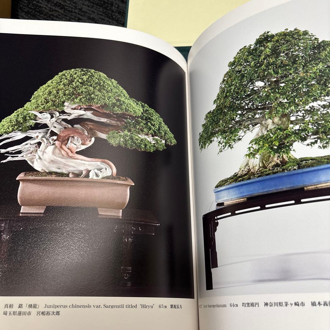 日本大宝樹展 盆栽資料(写真集)