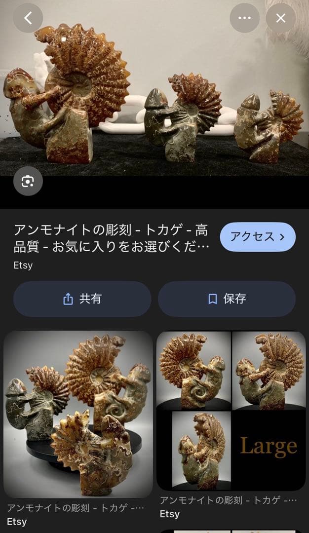 アンモナイト彫刻 トカゲ台座付き