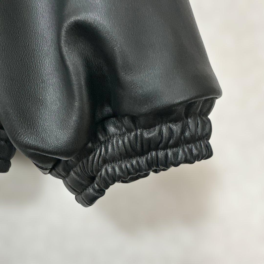 ssstein SHEEP LEATHER STAND COLLAR ブラウン