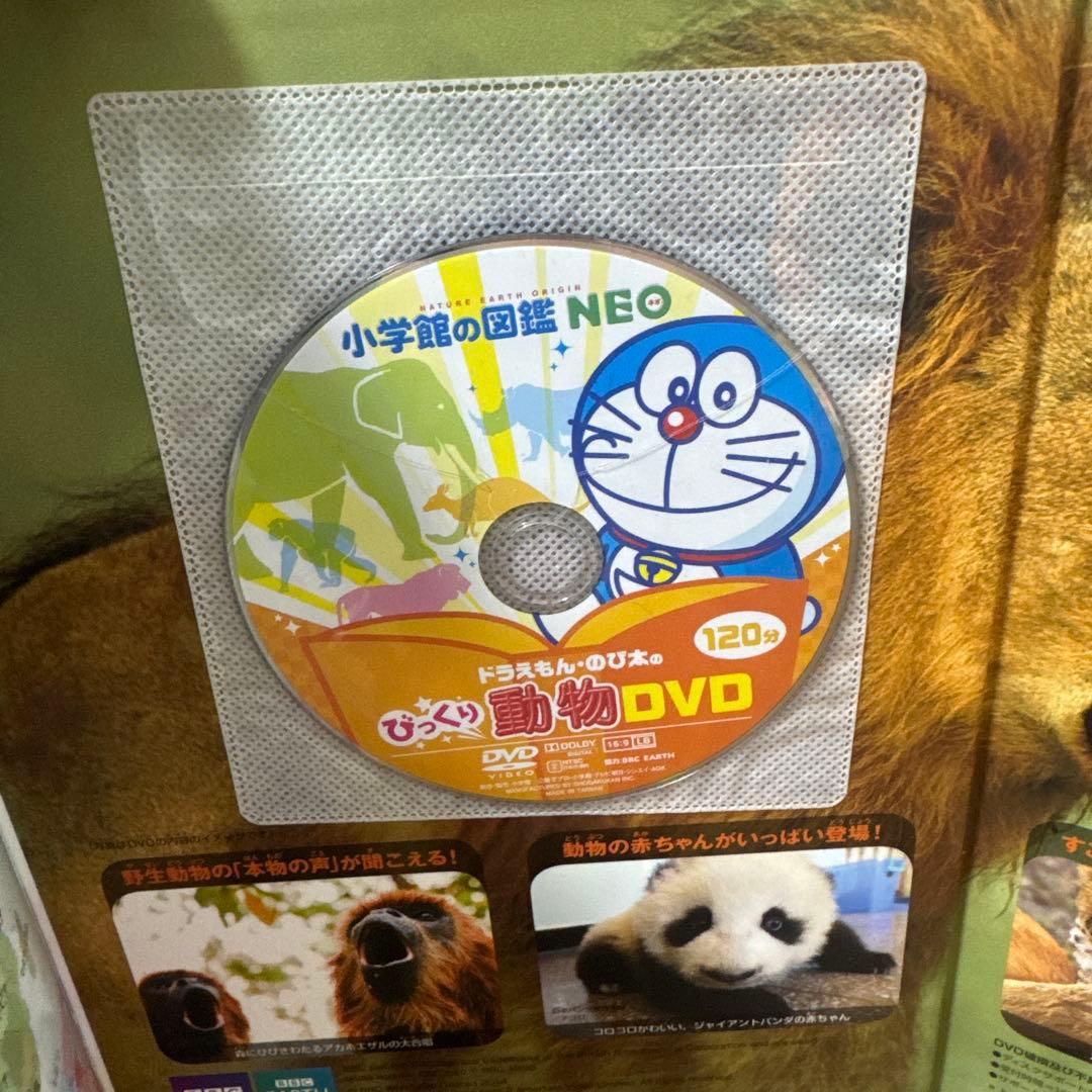 小学館の図鑑 NEO 新版 動物 恐竜 昆虫 宇宙 4冊セットいちばん！の図鑑付