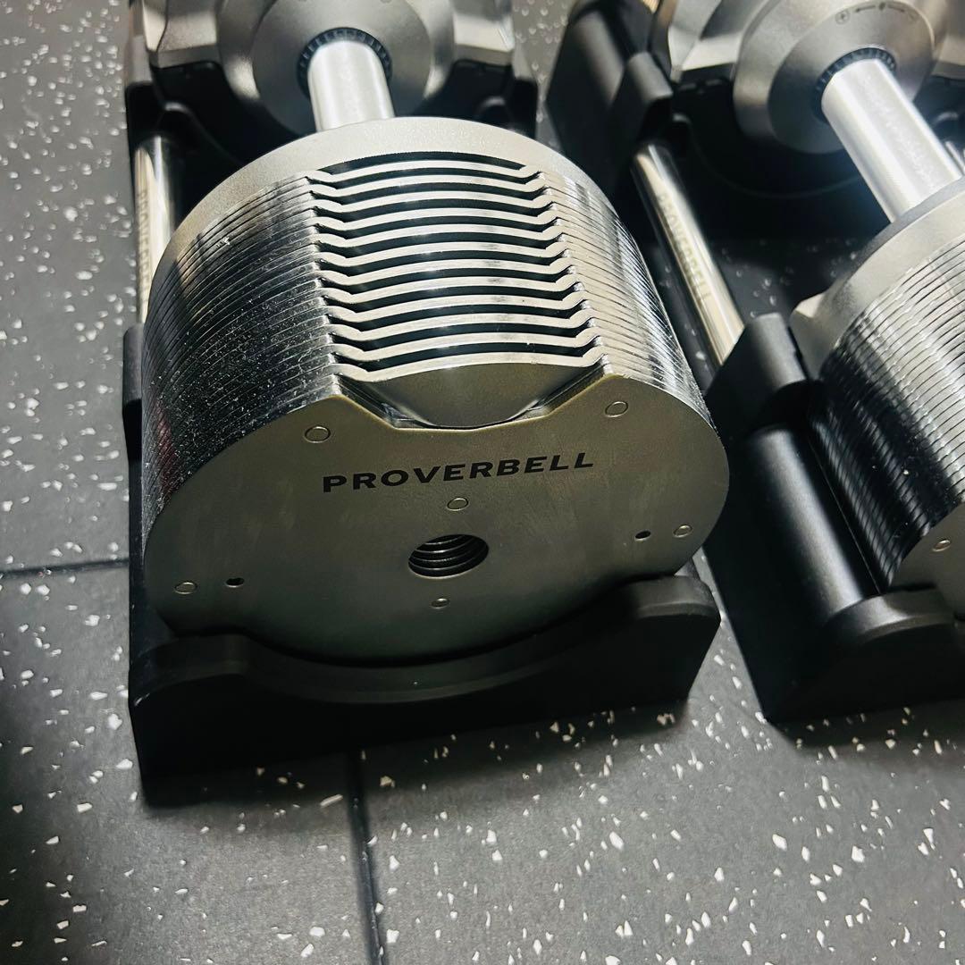 あんかけ様 ライシン PROVERBELL 41.5kg ②