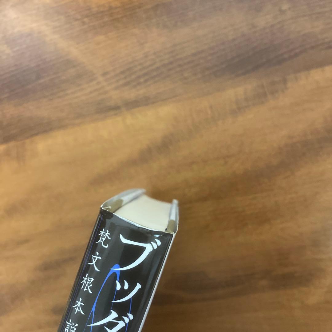 ブッダの奇しき事跡 下巻 梵文根本説一切有部律破僧事 全訳