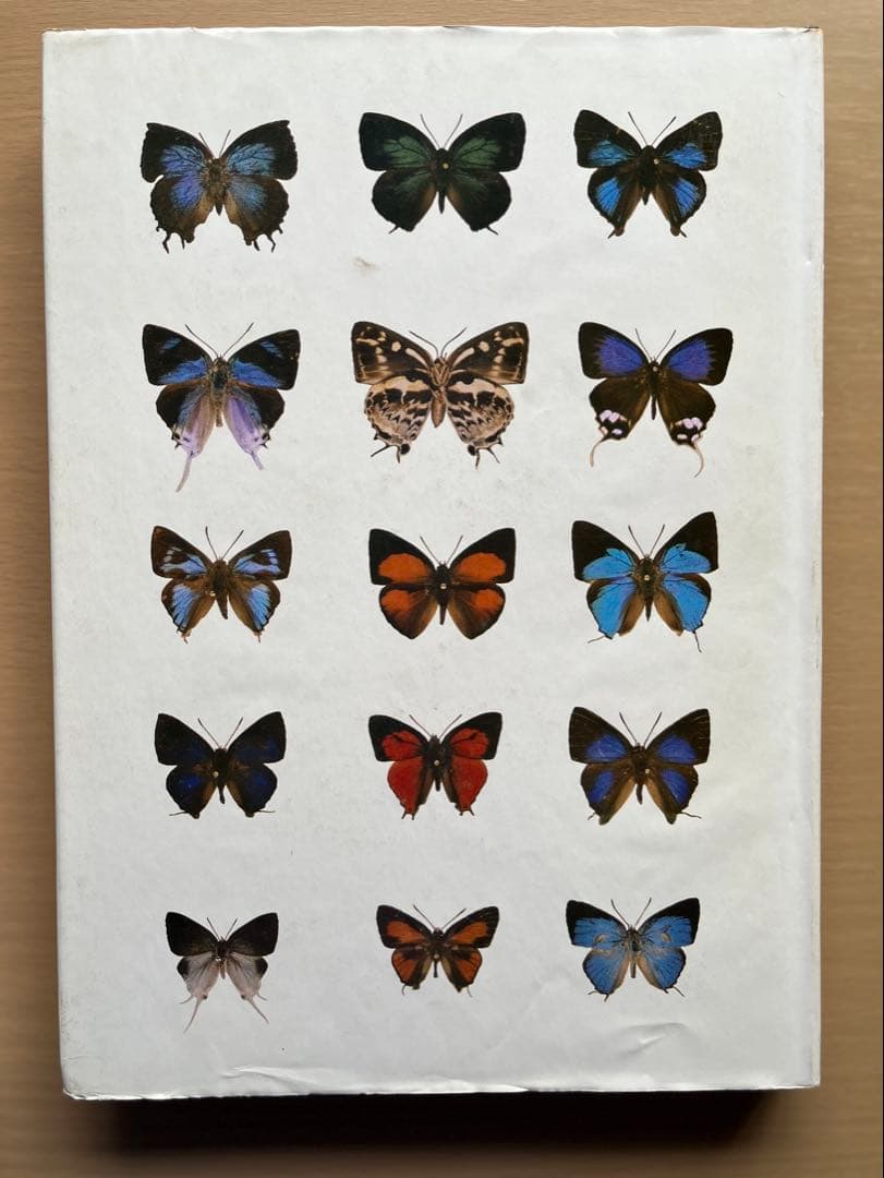 BUTTERFLIES IN THAILAND 全6巻セット