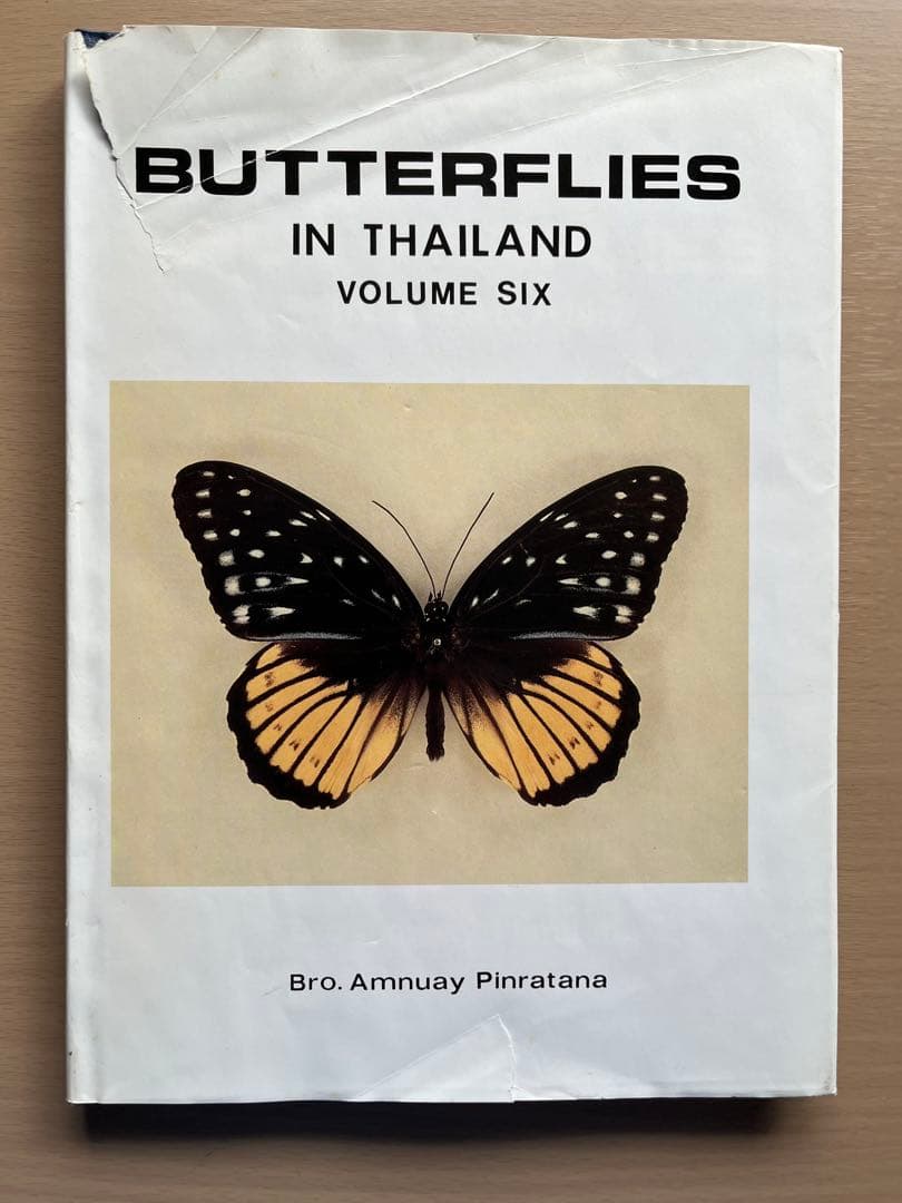 BUTTERFLIES IN THAILAND 全6巻セット