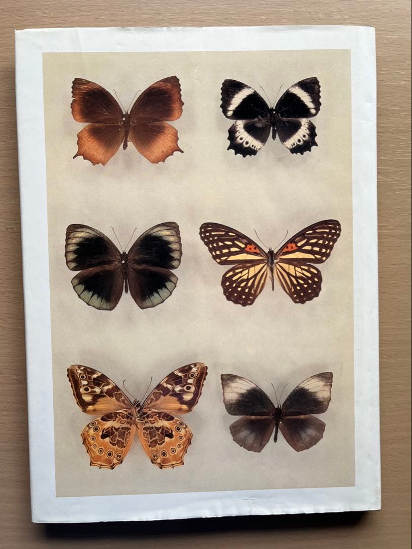 BUTTERFLIES IN THAILAND 全6巻セット