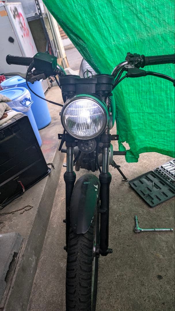 cb50s　素揚げ