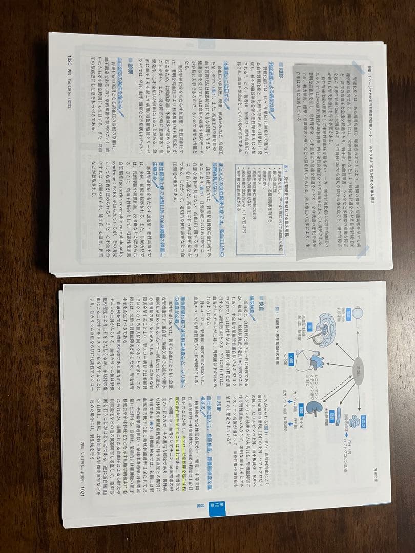【裁断済】 1ページでわかる内科疾患の診療ノート