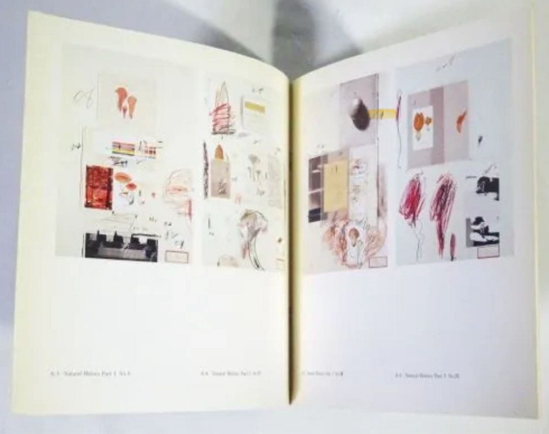 Cy Twombly 絶版作品集　センチメンタリズムの地誌
