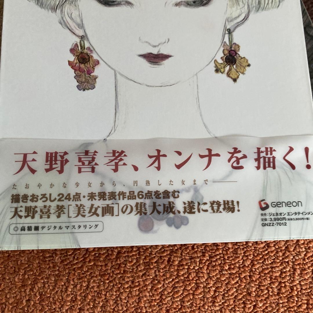 処女宮 : 天野喜孝美女画集
