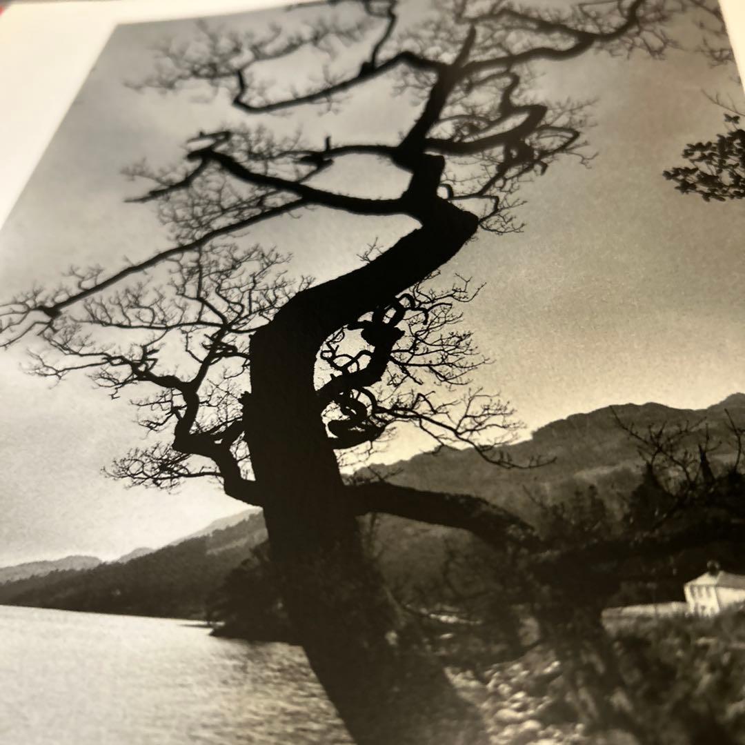 jeanloup sieff ジャンルーシーフ　写真集
