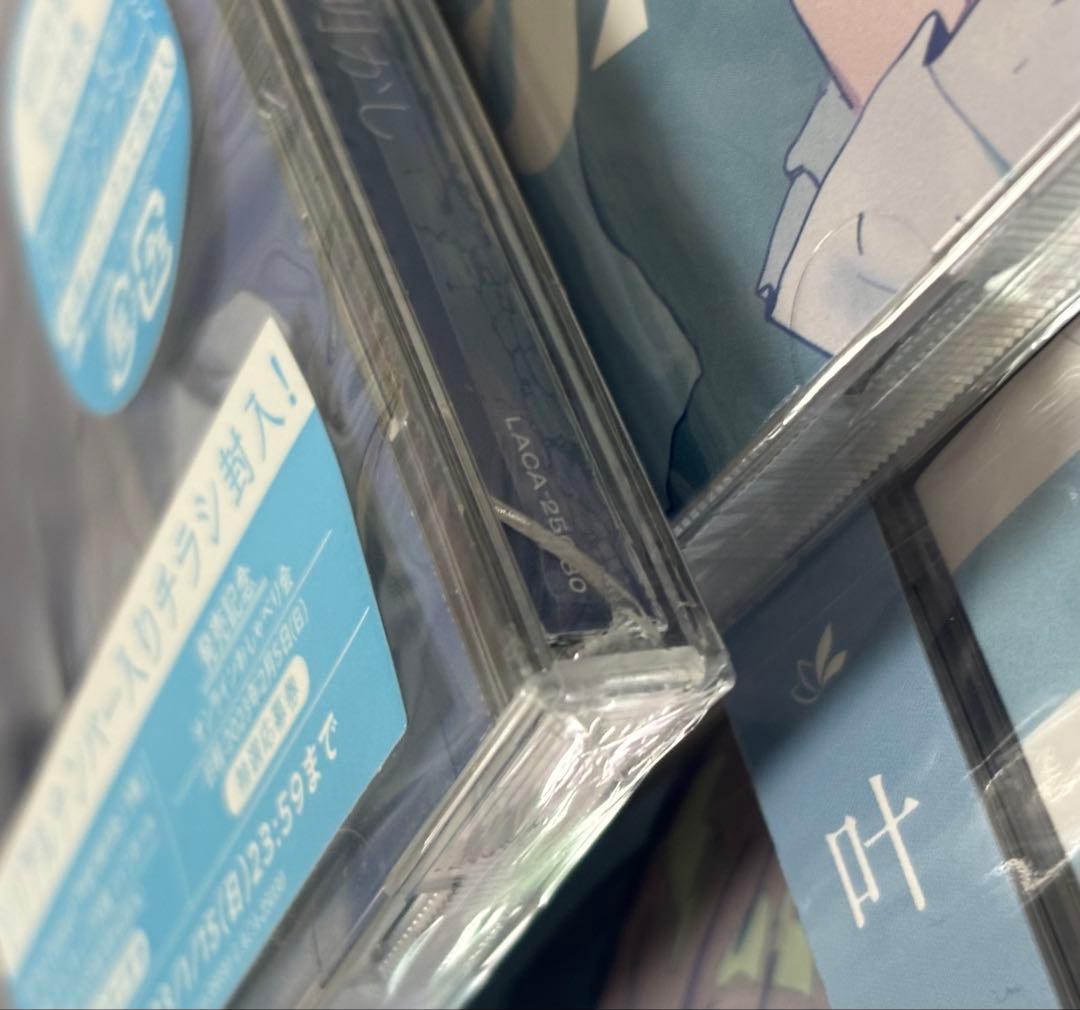 にじさんじ 叶 flores 夜明かし CD 19枚