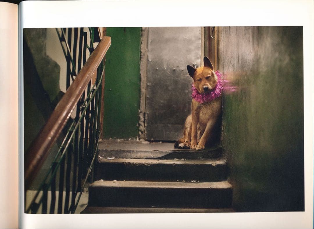 TIKSI / EVGENIA ARBUGAEVA 写真集