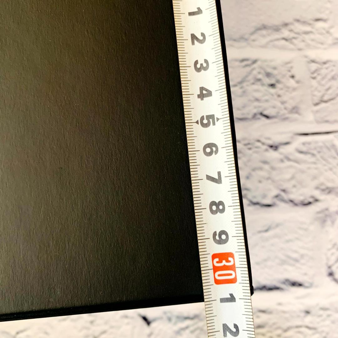 シャネル　空箱　大　マグネット　おまけ付　41cm　CHANEL