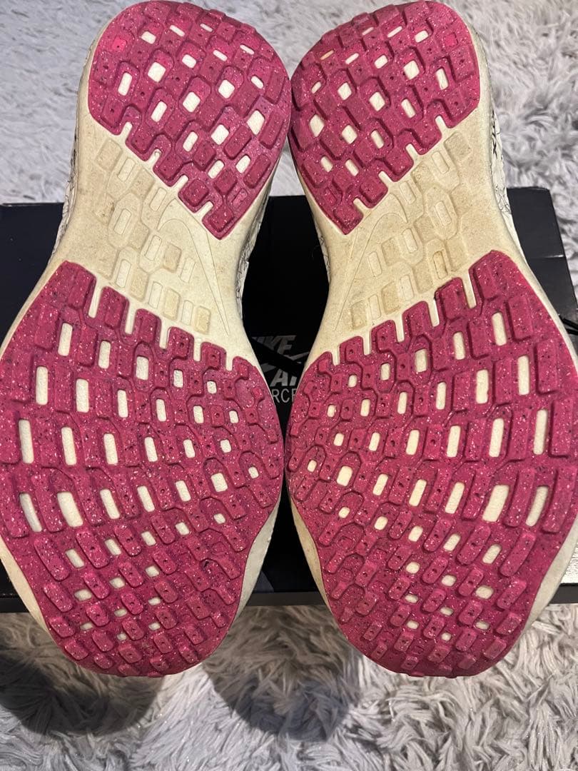 NIKE ペガサスターボネクストネイチャー　27cm
