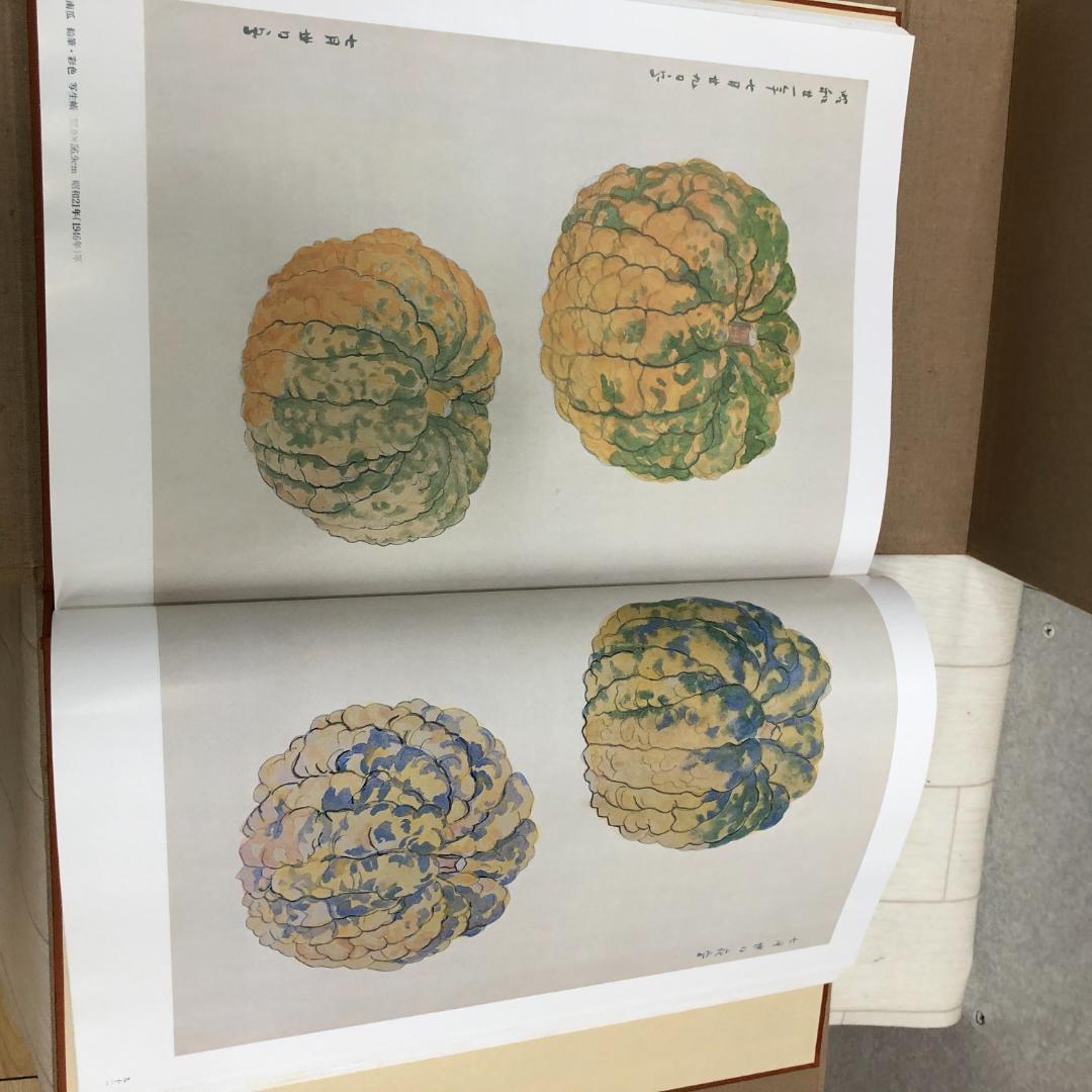 福田平八郎 作品と素描　全二巻揃 光村図書 定価95,000円 　250616-