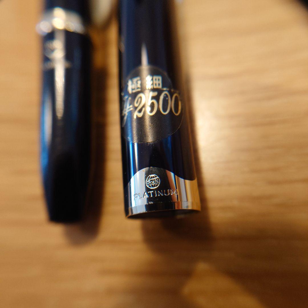 PILOT パイロット プラチナ 18K 万年筆 極細