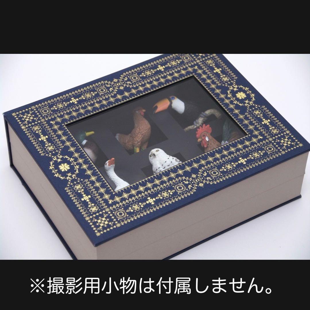 松*様 コスモテック まるで標本箱 ななめに立ち上がるコレクションケース
