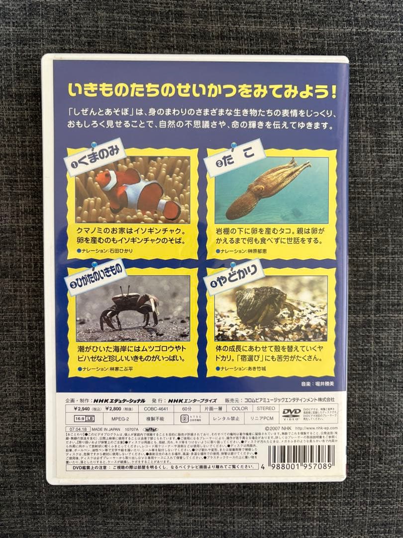 しぜんとあそぼ 海のともだち NHK DVD