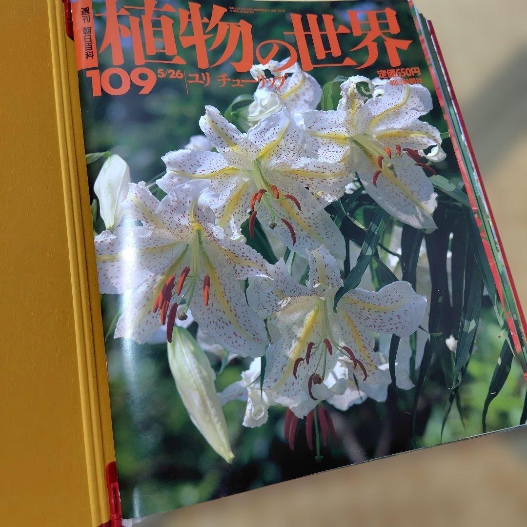 植物の世界 全巻 週刊朝日百科　バインダー付き