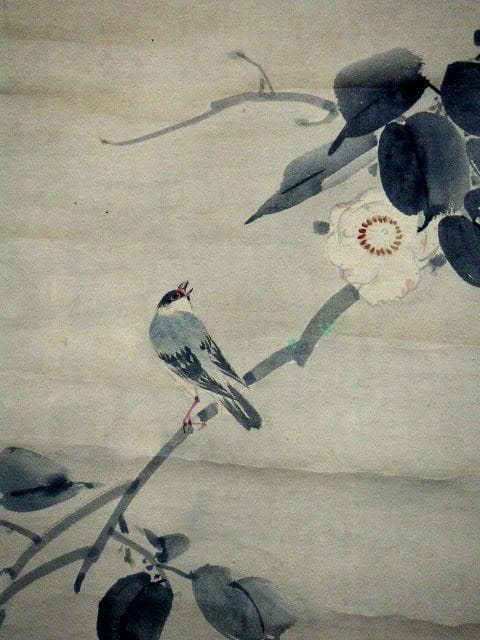 ♥掛軸　日本画　竹腰僊洞　花鳥図　掛け軸　時代箱付き