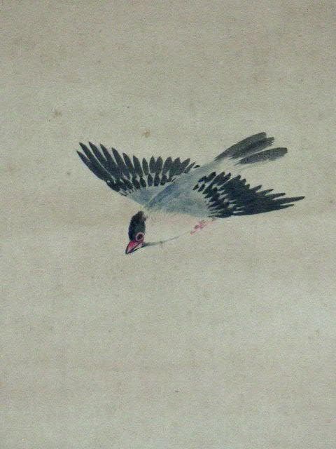 ♥掛軸　日本画　竹腰僊洞　花鳥図　掛け軸　時代箱付き