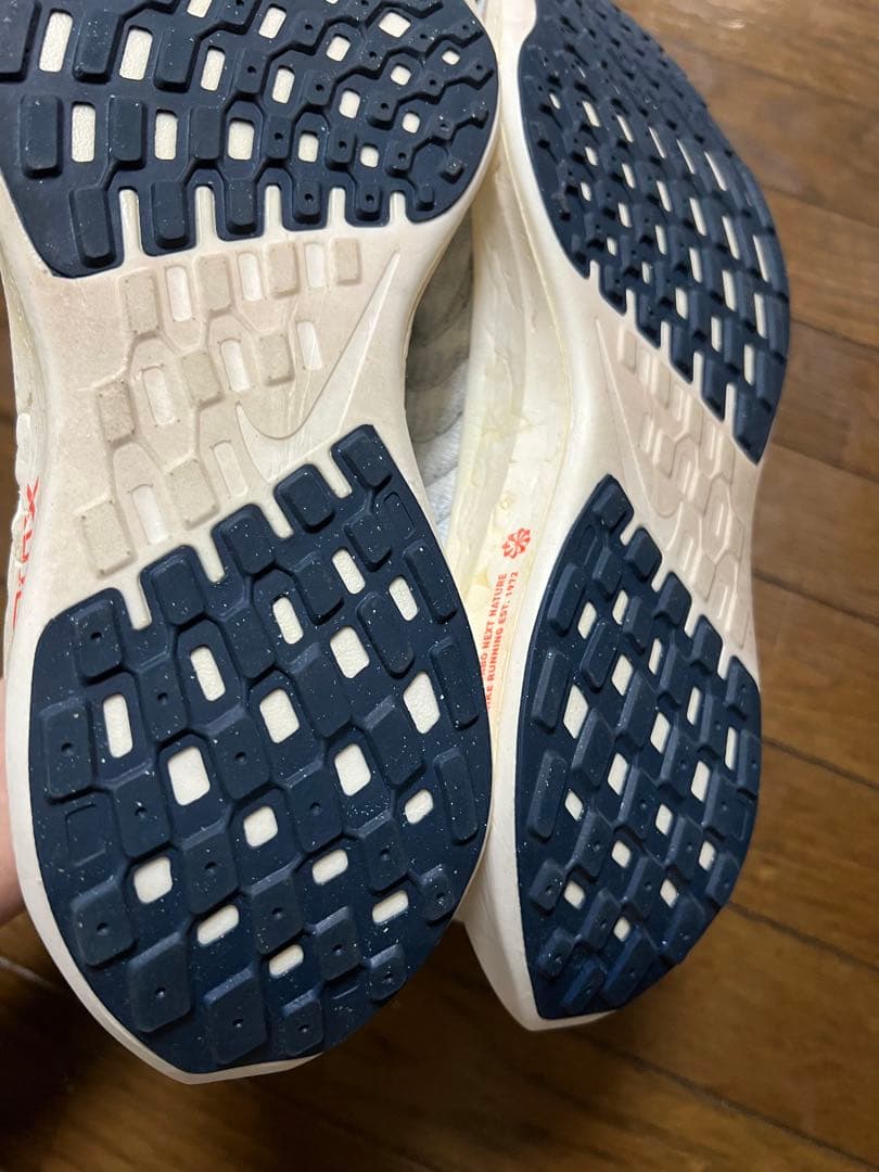 NIKE ナイキ ペガサスターボネクストネイチャー 25cm 陸上 マラソン