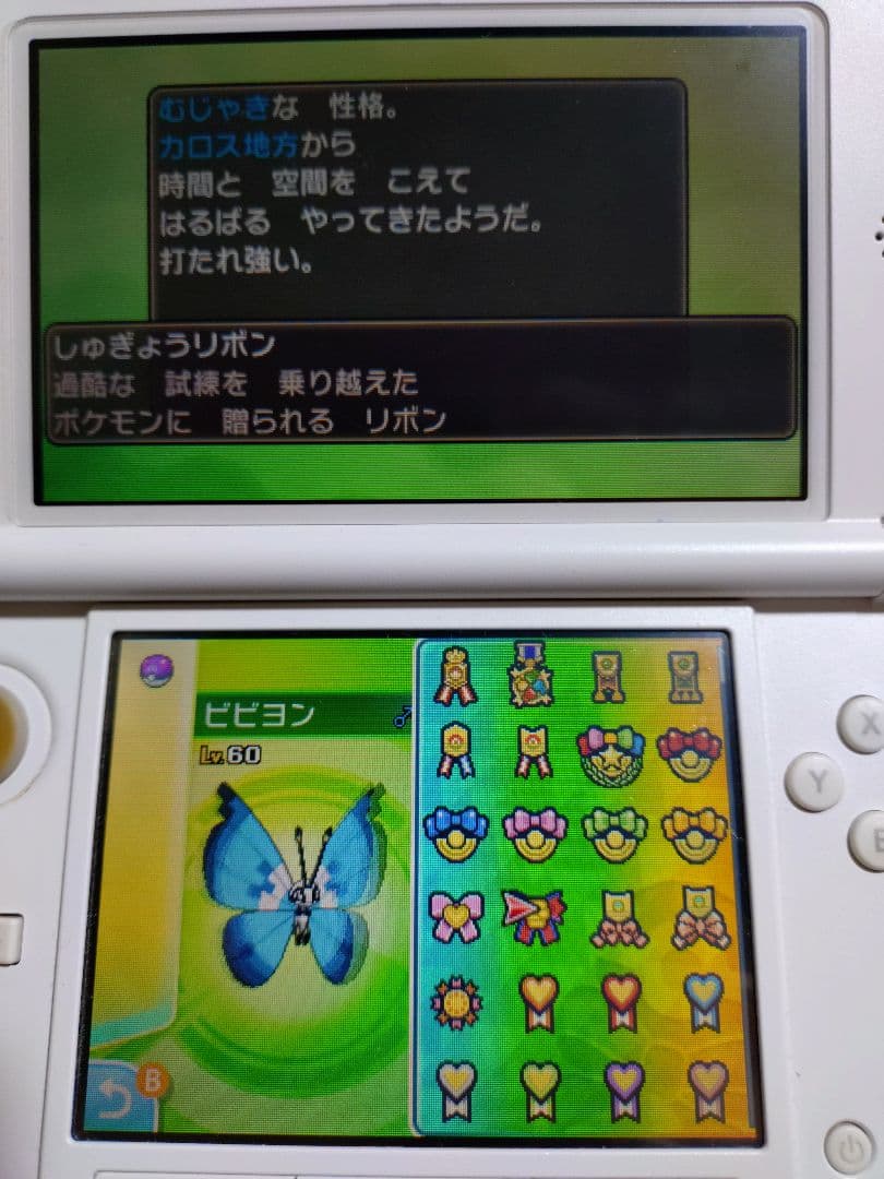 色違いビビヨン全模様リボンコンプ入りポケモンムーンソフト　気になる方は質問を