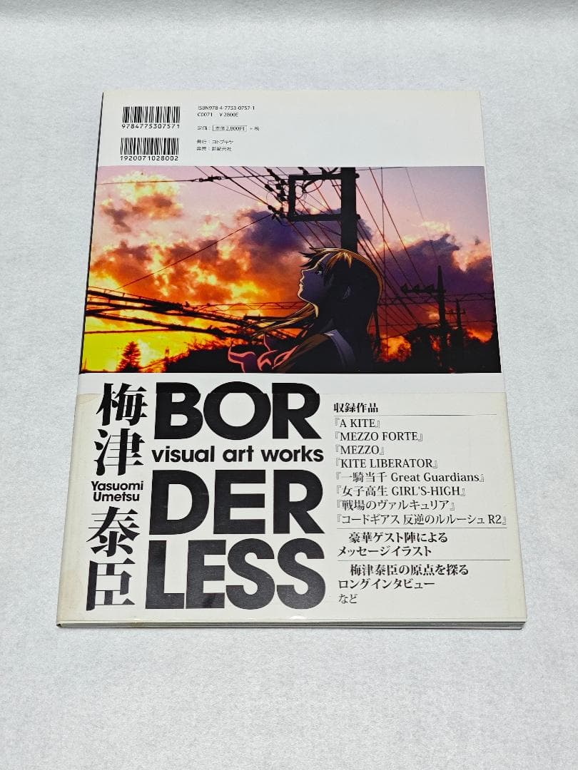 梅津泰臣 visual art works BORDERLESS