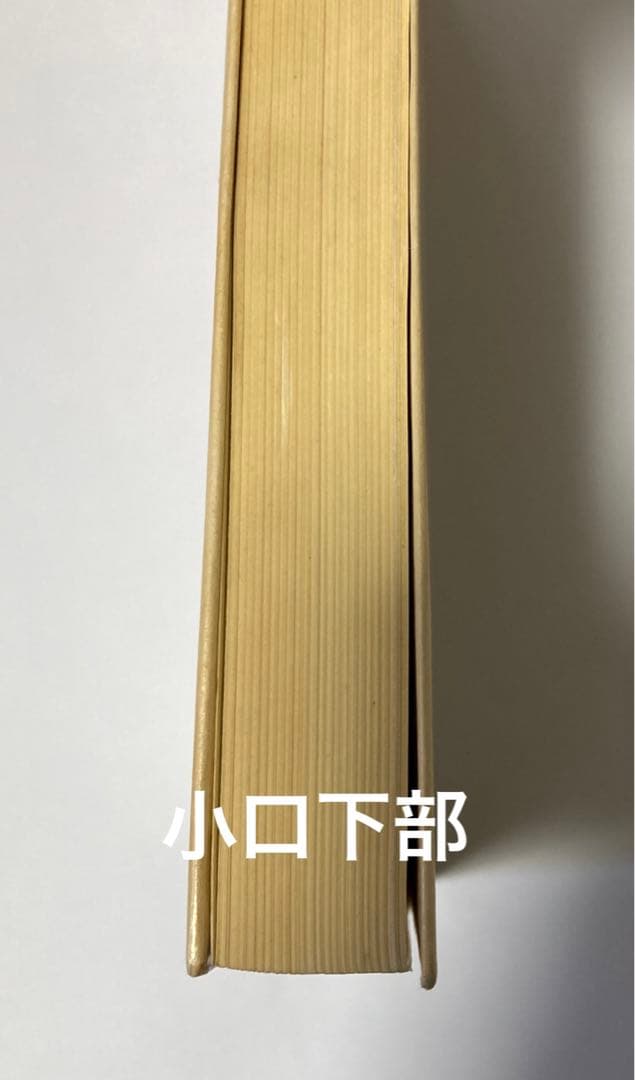 【限定版1000部】ヴィヨン遺言詩集