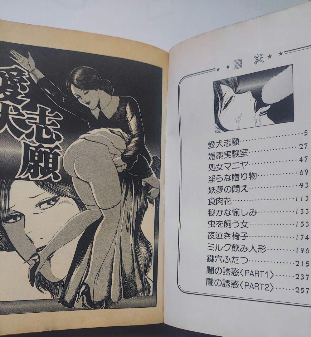 【希少】　激しく犯して 　あがた有為　 JOY COMICS