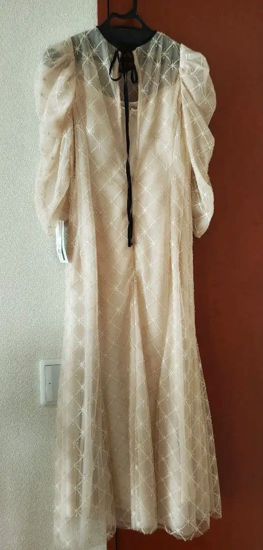 【ぴょん】セルフォード バリエーションビーズドレスワンピース FRAYID