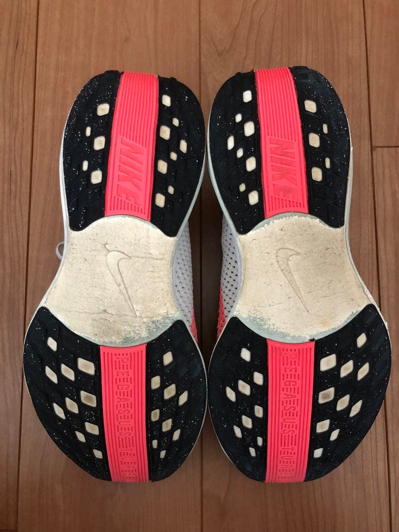 Nike Pegasus Plus 28cm ナイキ ペガサス プラス
