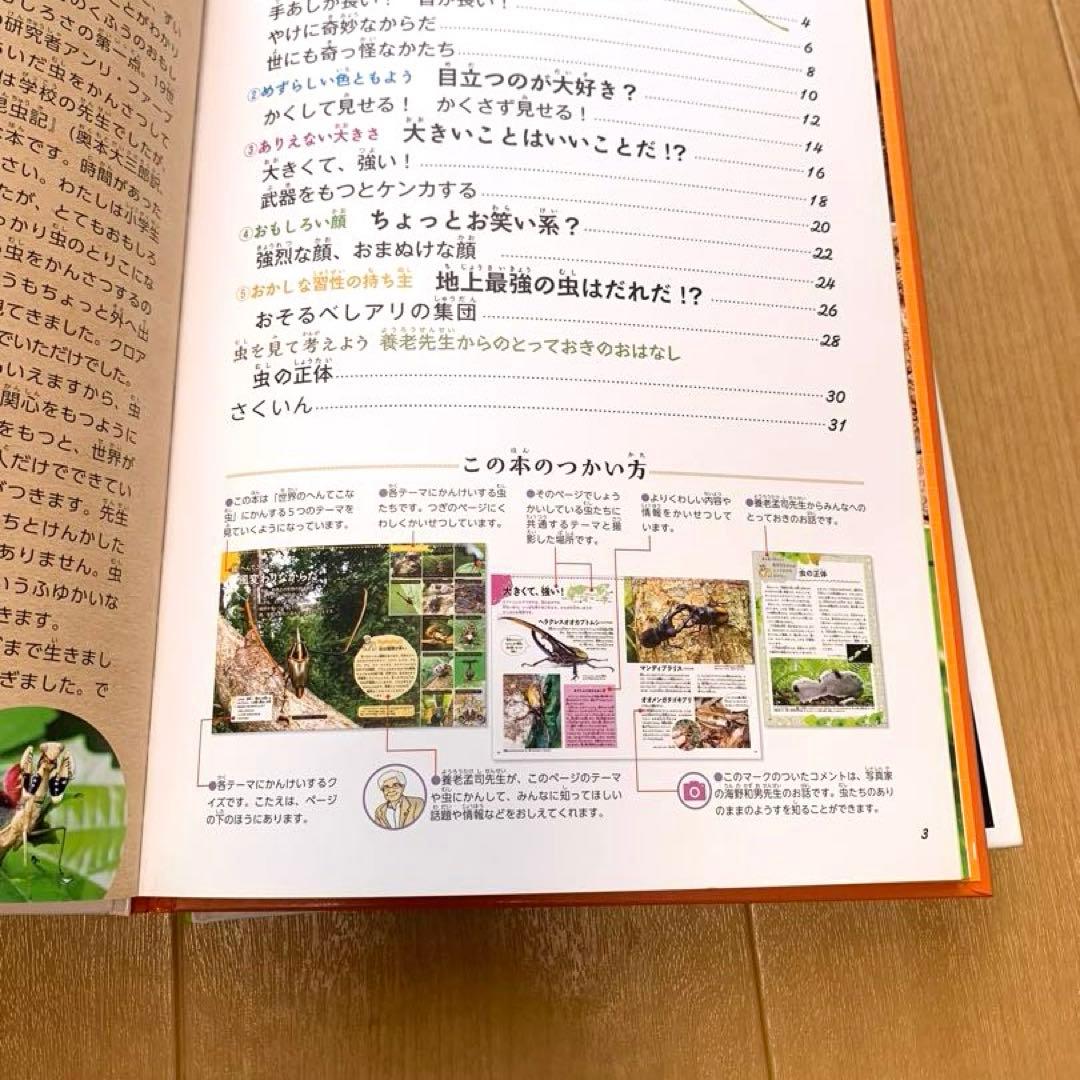 【初版・良品】 昆虫本 　虫っておもしろい！シリーズ3冊セット