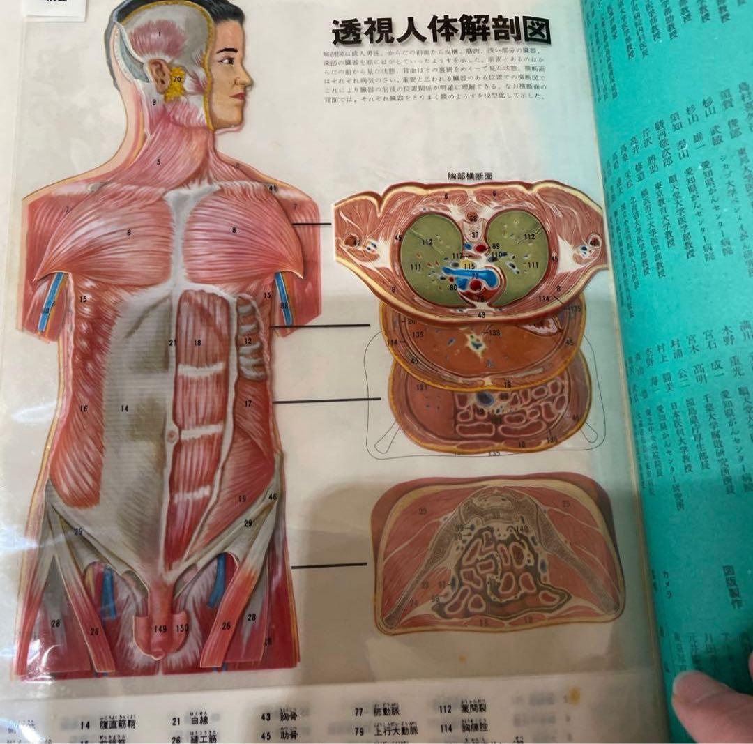 講談社版 新家庭百科事典 1巻～8巻 セット売り 激安！！