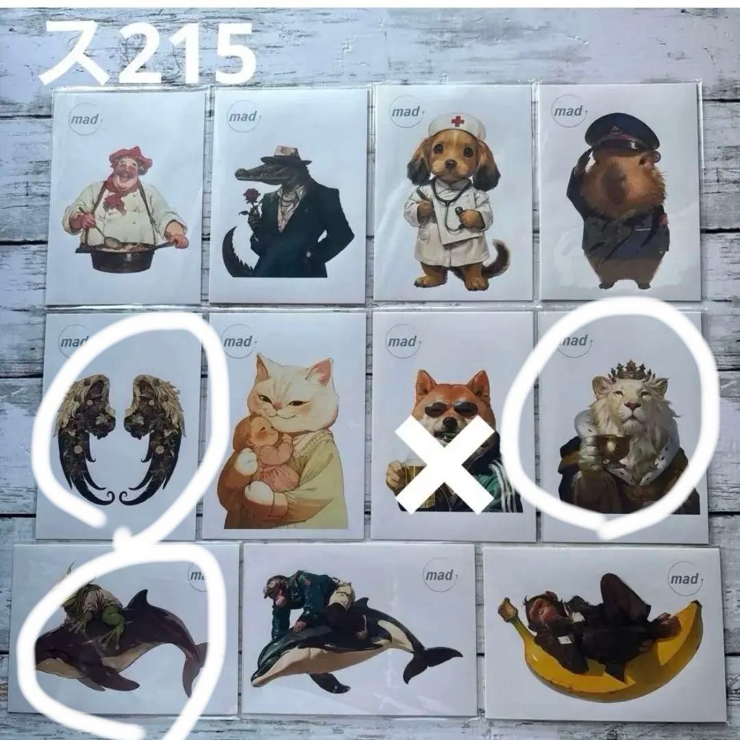 専用ページ ブルドッグ様