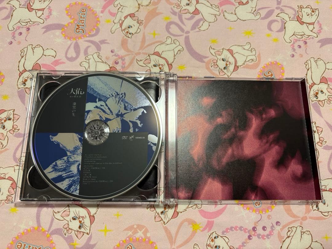 【レア品】漆黒の光　初回限定盤　DVD付　大佑と黒の隠者達　初回生産限定