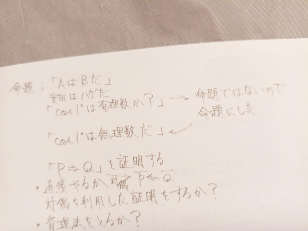 大数ゼミ　解法のエッセンス整式編　板書集　安田先生　駿台　河合塾　鉄緑会　数学