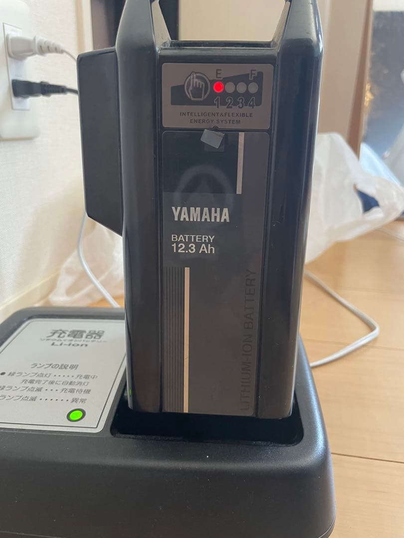 YAMAHA PAS With 24インチ　電動アシスト自転車