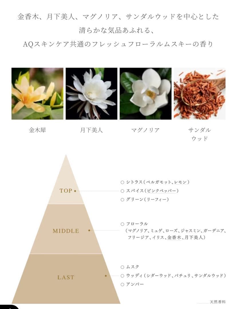 コスメデコルテAQ　リペアエッセンスシャンプー本体 サンプル付き