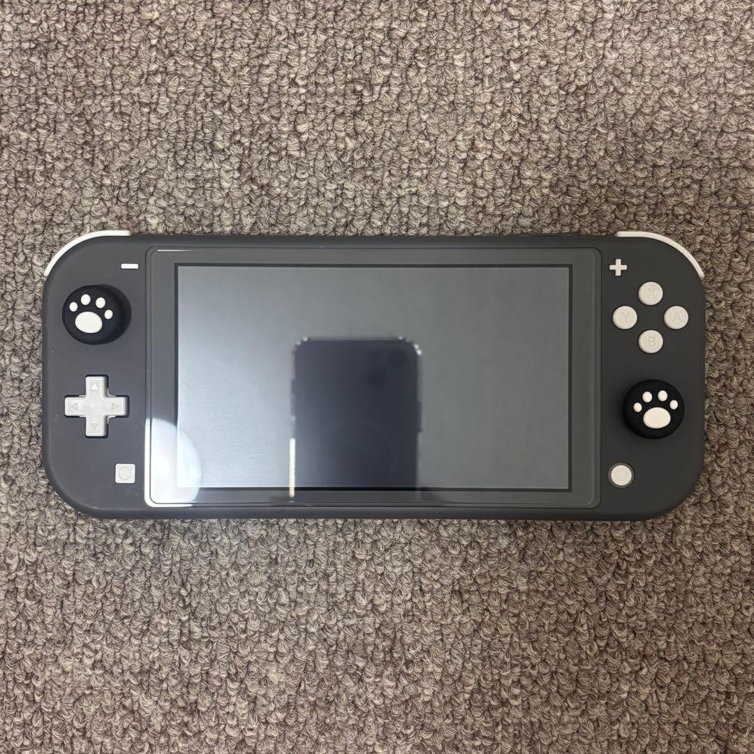 Nintendo Switch Lite グレー 充電器・カセット