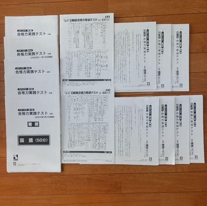 ①【２個口発送】日能研　６年生　全国公開模試　育成　実践テスト　各種テキスト他