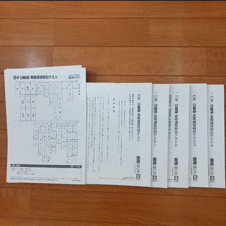 ①【２個口発送】日能研　６年生　全国公開模試　育成　実践テスト　各種テキスト他