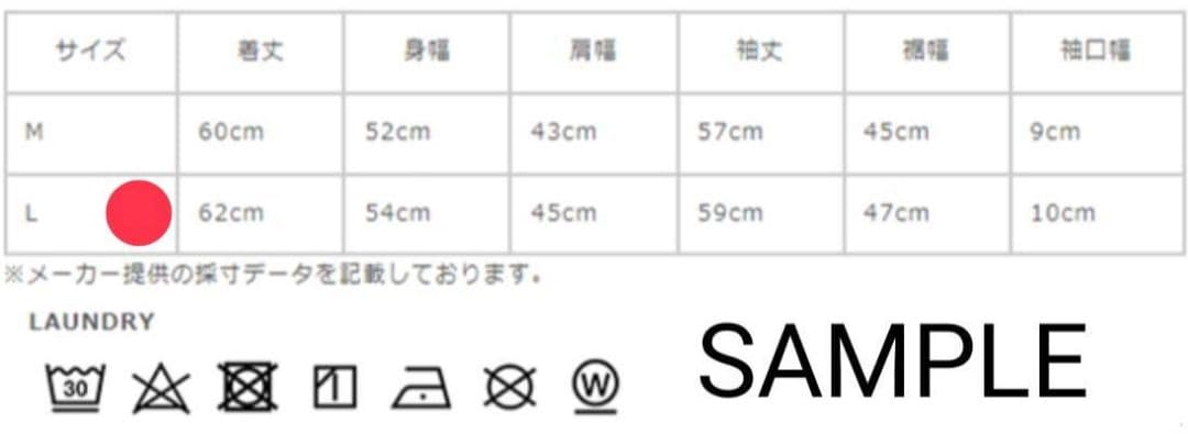 THE NORTH FACE　テックエアー　パーカー　NTW62385