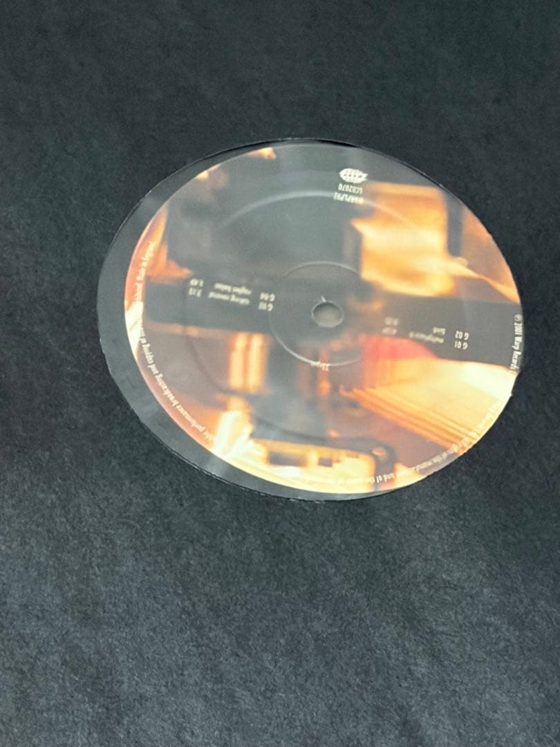 aphex twin drukqs レコード