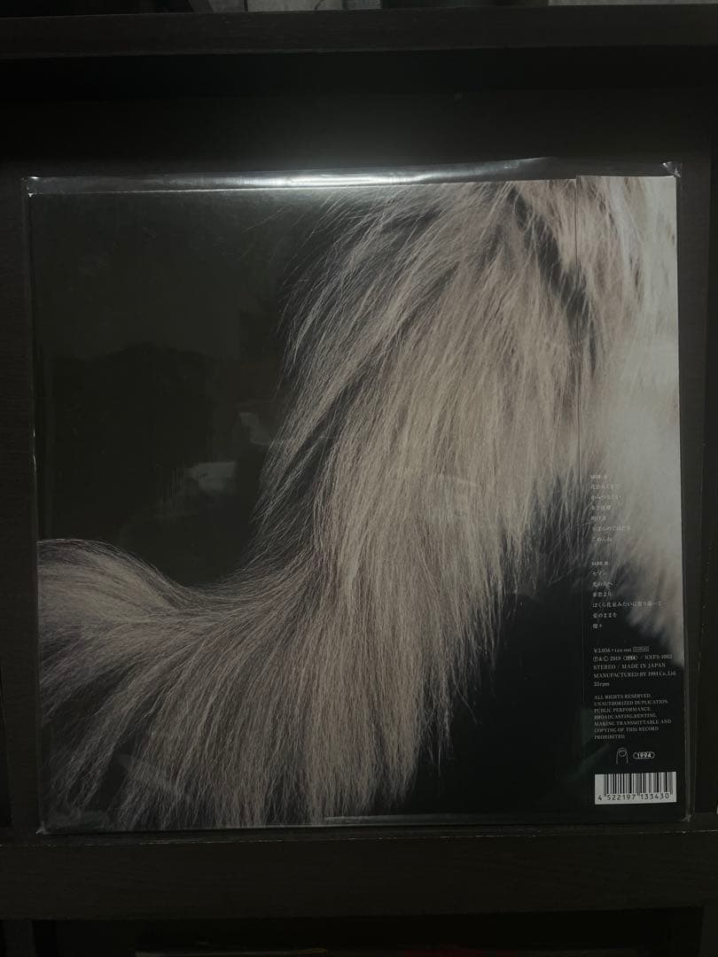 カネコアヤノ　燦々　レコード