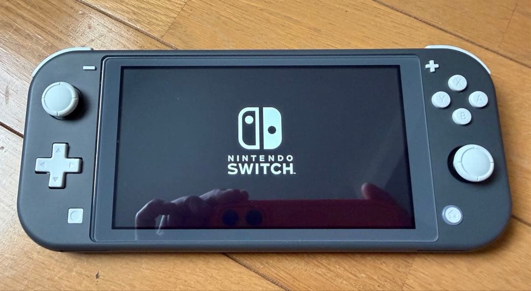 Nintendo Switch Lite グレーmicroSDカード64GBつき