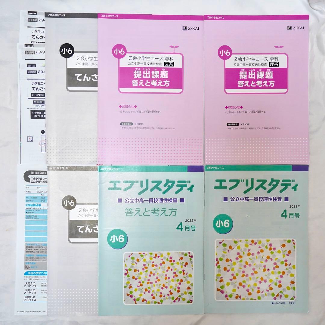 Z会 小6 エブリスタディ 専科　公立中高一貫校 適性検査対策　通年教材セット
