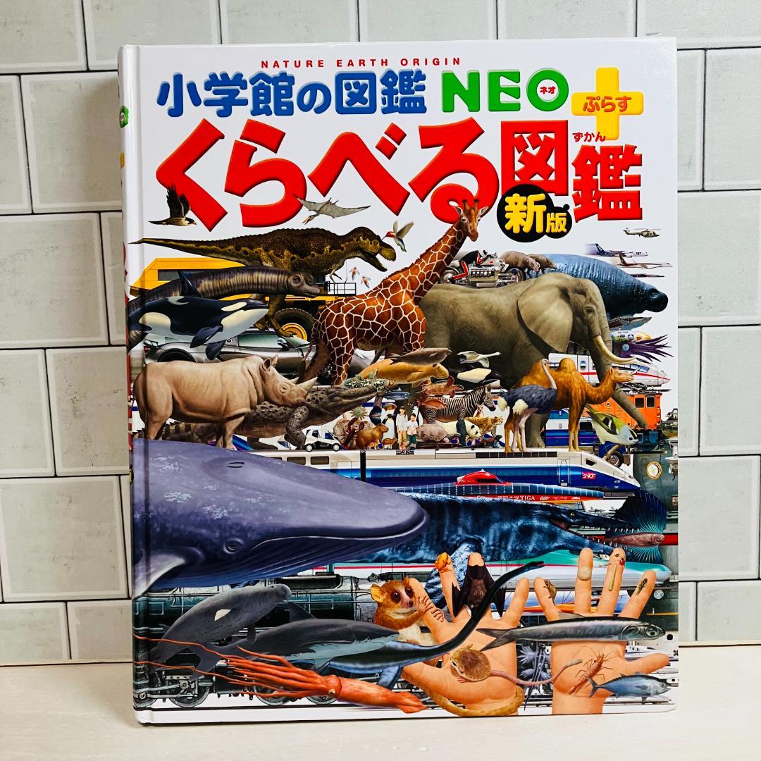 【定番の図鑑】小学館の図鑑NEO10冊セット 星と星座 昆虫 地球 他