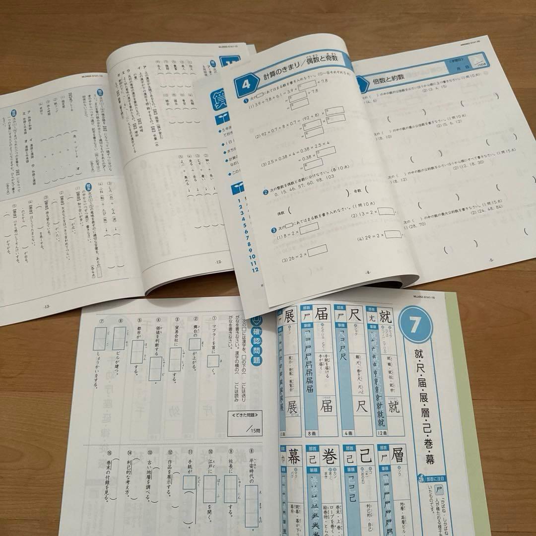 Z会　エブリスタディ　公立中高一貫校適性検査　6年　1年分